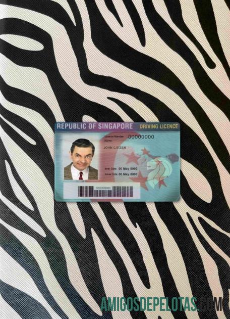 Carteira de habilitação de Cingapura fotolook frente exemplo real